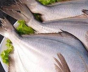 鲳鱼的营养价值与食用功效