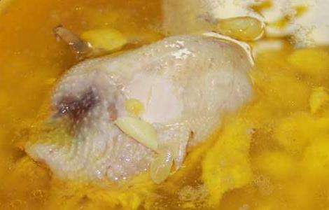 白果炖鸡常见的四种做法