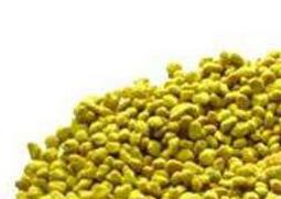 油菜花粉的功效与作用及食用方法