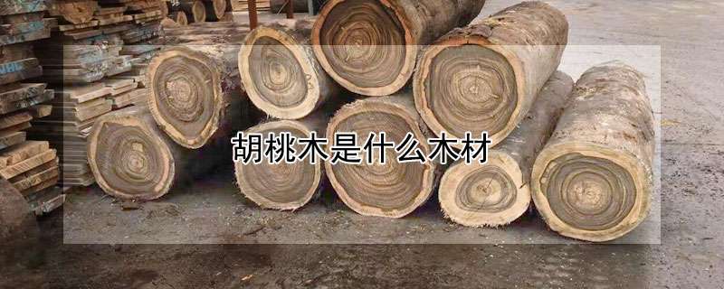 胡桃木是什么木材