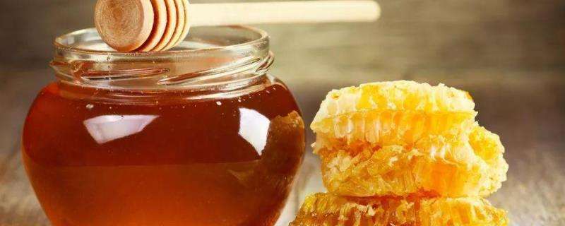 蜂蜜的品种有哪些，效果和作用是什么