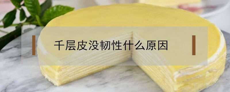 千层皮没韧性什么原因