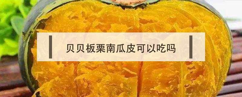 贝贝板栗南瓜皮可以吃吗