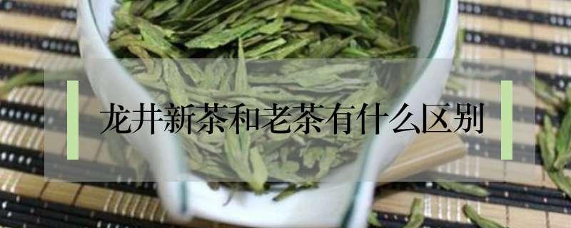 龙井新茶和老茶有什么区别