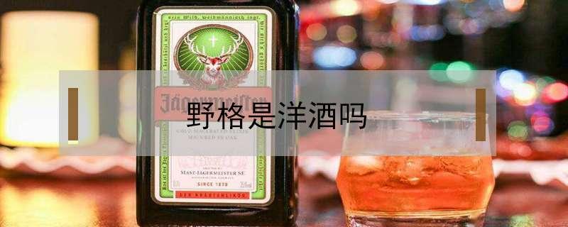 野格是洋酒吗