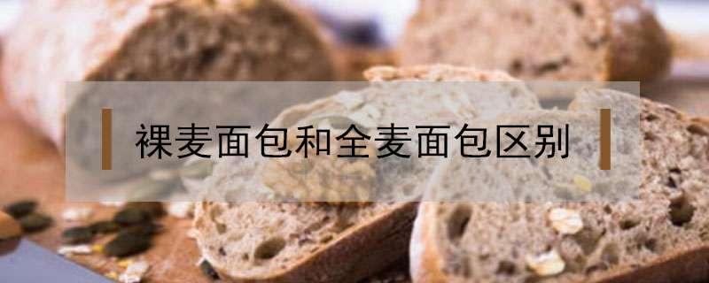 裸麦面包和全麦面包区别