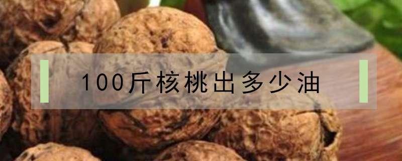 100斤核桃出多少油