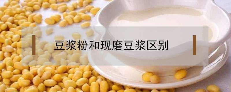 豆浆粉和现磨豆浆区别