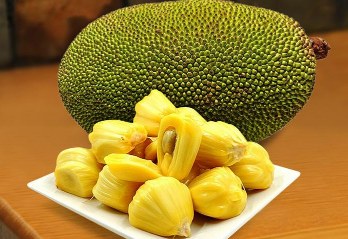 高产菠萝蜜需要掌握的嫁接技术有哪些 菠萝蜜养殖技巧总结