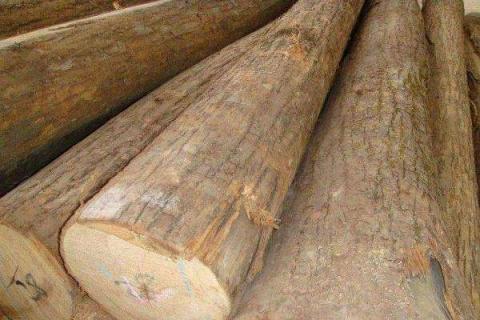 世界上最贵的木材排名 哪些木材价格较高