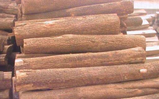 世界上最贵的木材排名 5大珍贵木头排行榜