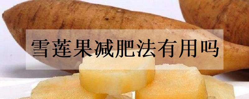 雪莲果减肥法有用吗