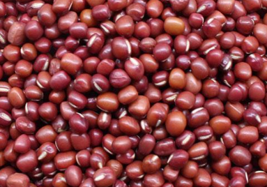 红小豆高产种植方法 红小豆怎么预防病虫害