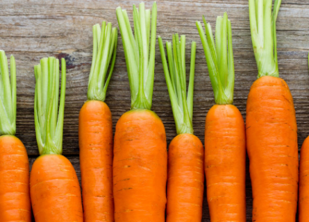 胡萝卜种植技巧分享 生长需要什么条件