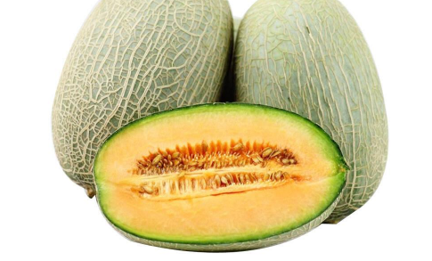 哈密瓜的种植条件是什么 哈密瓜怎么养殖