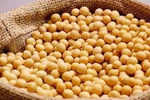 黄豆开花期需要施什么肥 什么时候施肥能高产