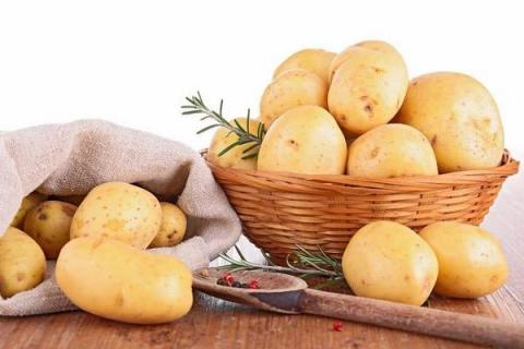 土豆在中国哪里最出名