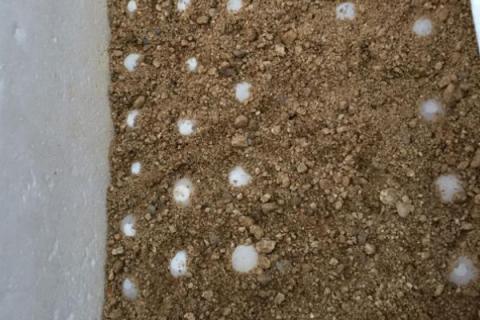 甲鱼的繁殖技术介绍，砂质湿度决定孵化率