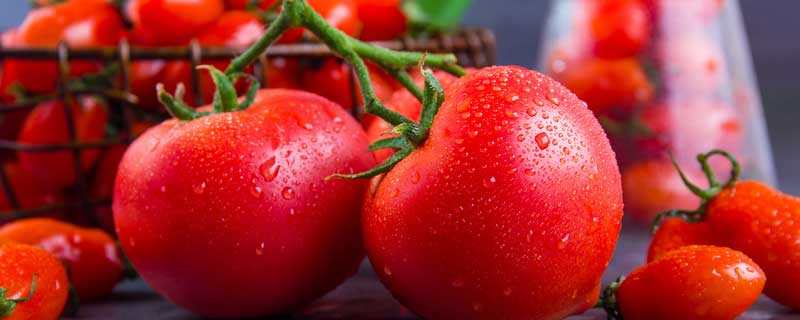 番茄结果期需要施什么肥
