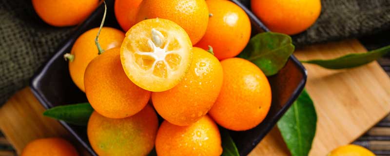 柑橘树苗怎样才能长得更快