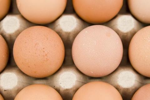 哪些鸡蛋不能吃，散黄蛋、发霉蛋、裂纹蛋均不可食用