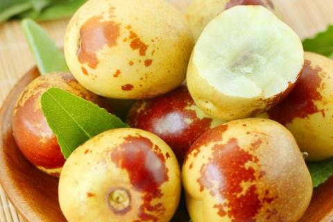 冬枣是什么季节的水果，是秋冬季节的水果