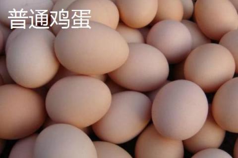 土鸡蛋和普通鸡蛋的区别，外观、蛋黄和口感均不同