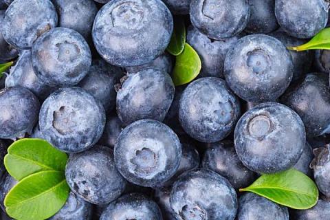 蓝莓的果肉颜色，通常呈蓝色或淡蓝色
