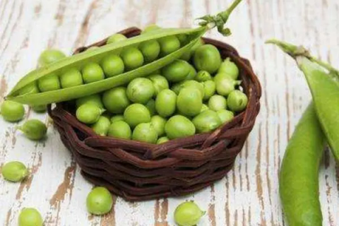 荷兰豆与豌豆有什么区别，荷兰豆营养价值