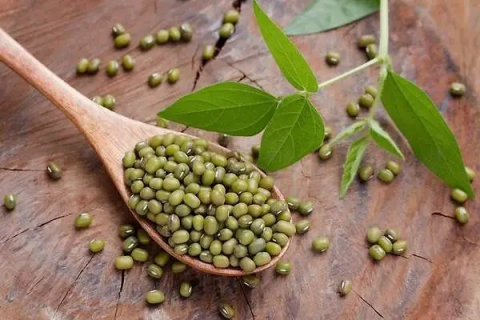 绿豆可以和薏仁一起煮粥吗，营养价值如何提升