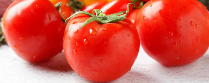 一亩西红柿产量多少斤，如何提高产量