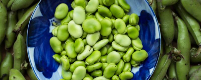 蚕豆种植时间，蚕豆的种植季节可以在秋季或春季
