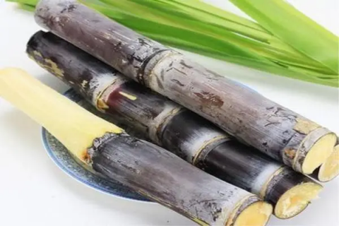 甘蔗怎么管理才又黑又甜，种植技巧和养护方法