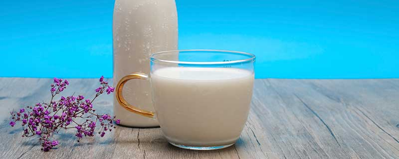 喝酒前喝纯牛奶有用吗，能否减轻酒精对身体的损害