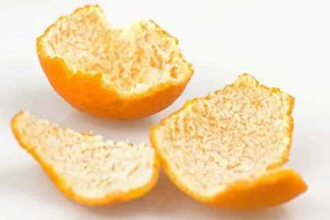 橘子籽直接扔土里能发芽吗，种植技巧与注意事项