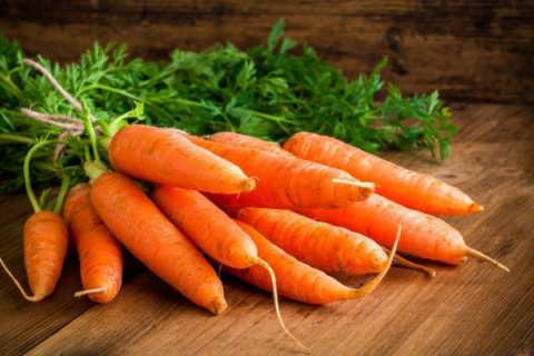胡萝卜11月可以种吗，适合秋季种植的蔬菜