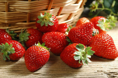 草莓需要补钙吗，如何为草莓补钙呢