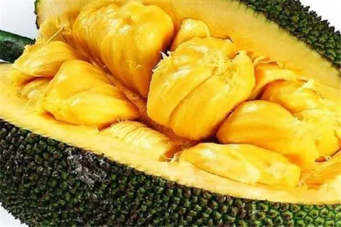 菠萝蜜生熟的鉴别，如何判断菠萝蜜是否成熟