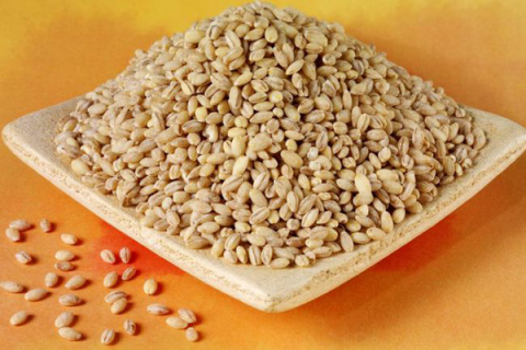 青稞麦的营养价值，保健功能