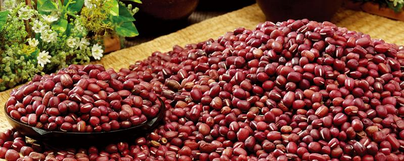 红小豆可以代替赤小豆吗，两者有什么区别和联系