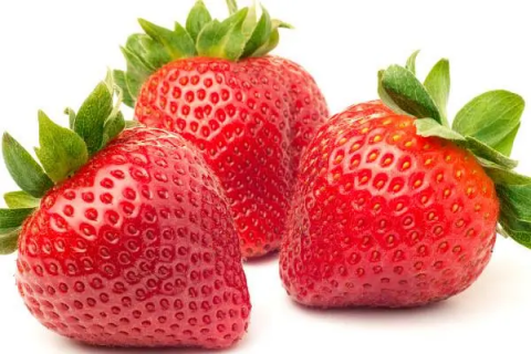 草莓是怎么种植的,草莓种植最佳时间是什么时候