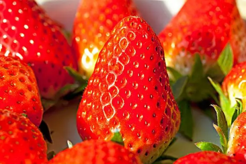 草莓生长过程有几个阶段