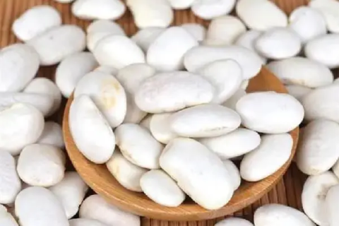 白芸豆的种植方法，白芸豆什么季节播种