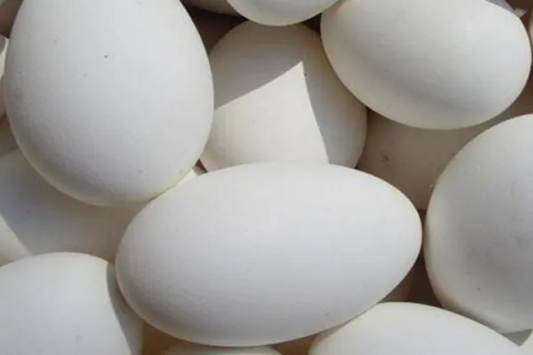 鹅蛋黄煮熟有黑色斑点，是什么原因引起的