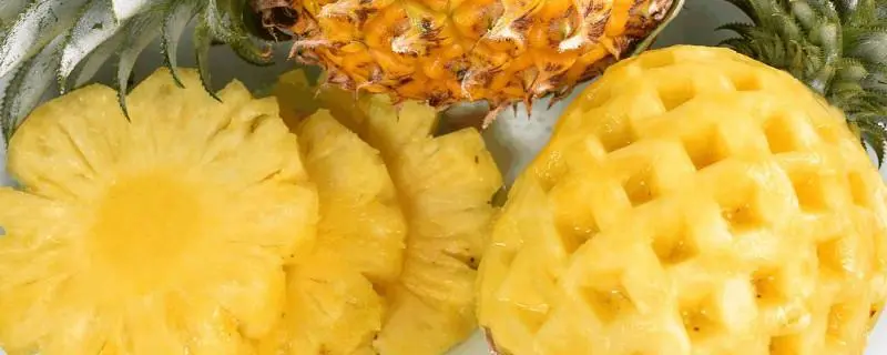 凤梨和菠萝怎么区分，凤梨和菠萝在外观上存在一些明显的区别