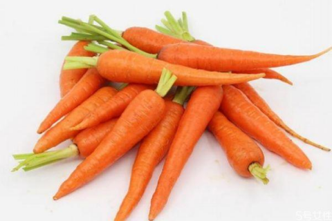 胡萝卜生长规律是怎么样，种多少天可以收获