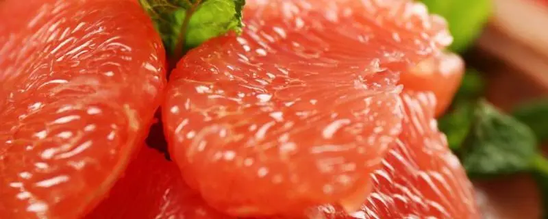 红心柚子的种植方法，详细介绍红心柚子的栽培技巧
