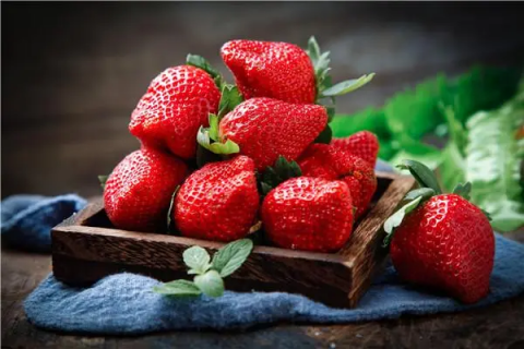 大棚种植草莓有什么优点