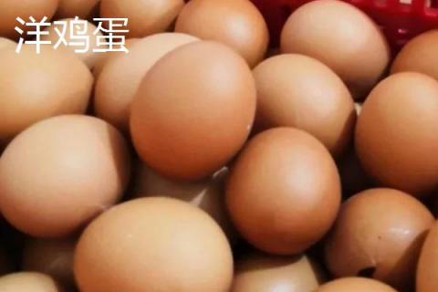 如何鉴别土鸡蛋和洋鸡蛋，个头、颜色等均不同
