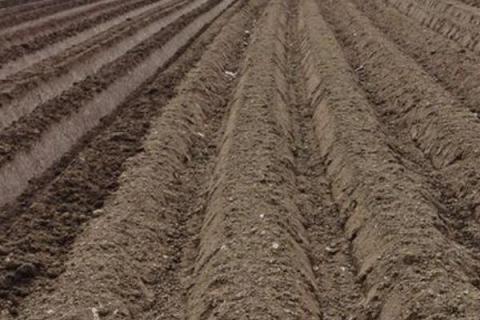 马铃薯施肥技术，在秋冬耕前施入充足的基肥